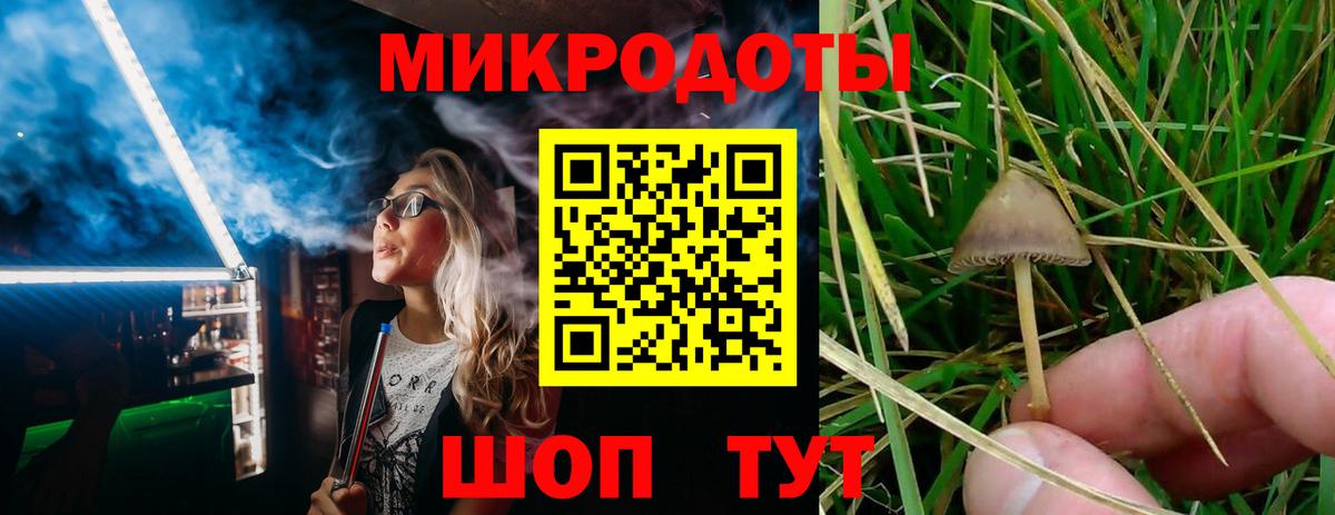 Псилоцибиновые грибы прущие грибы Учалы
